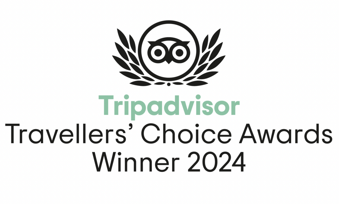 tripadvisor award 2024 travellors choice for berlin private tours